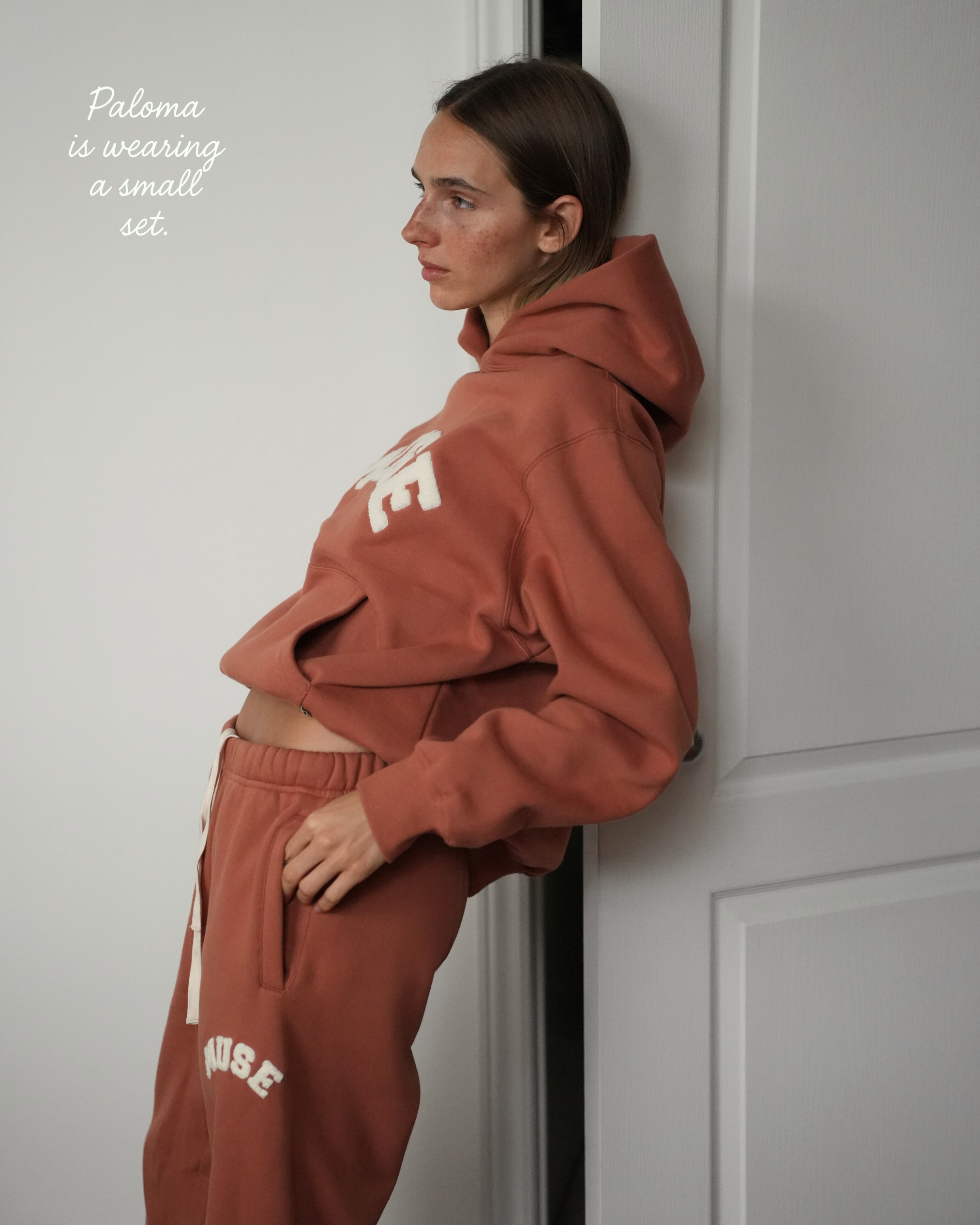 Heavyweight Chenille Hoodie - Terracotta