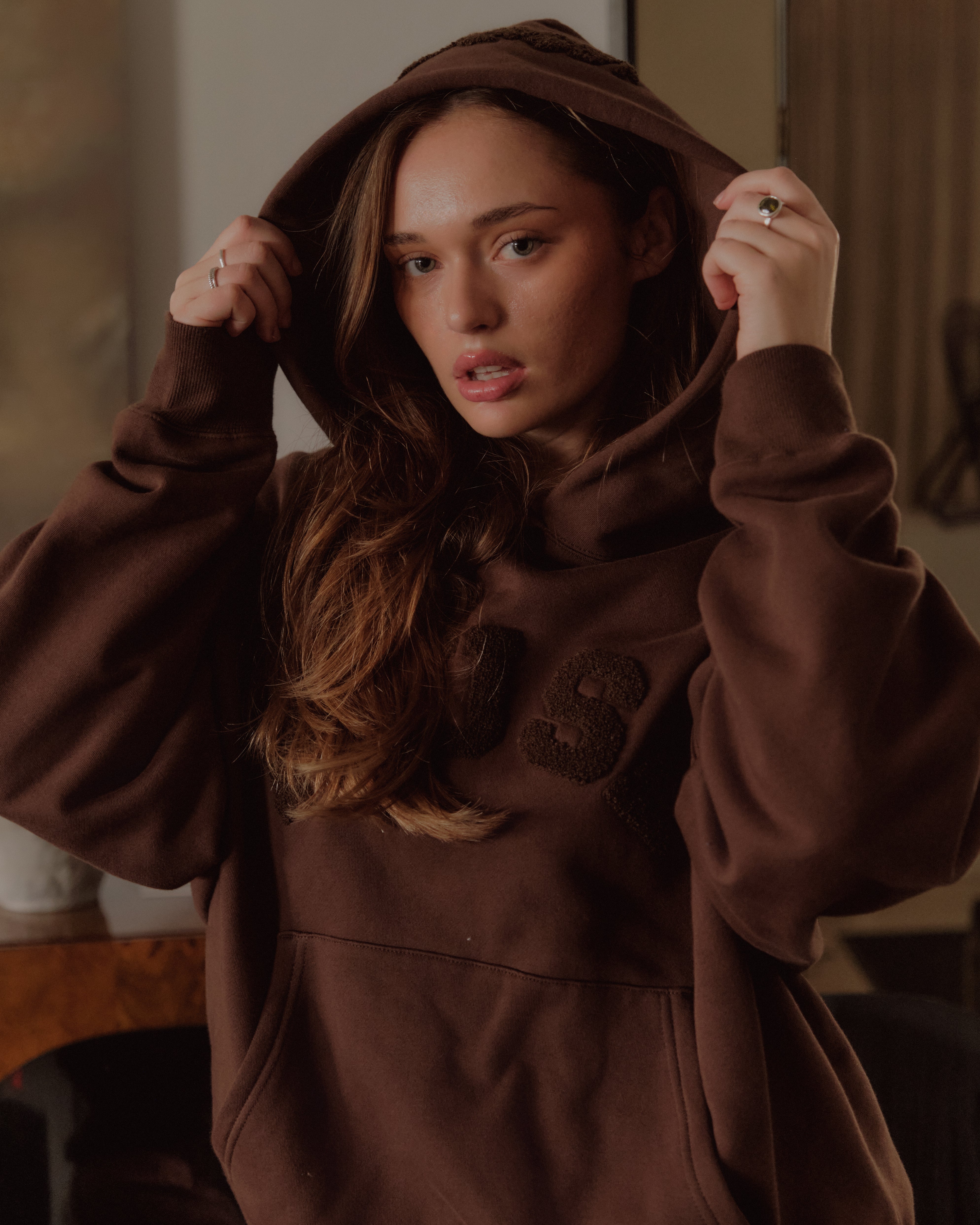 Heavyweight Chenille Hoodie - Espresso