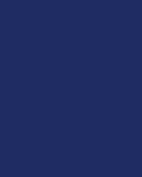 Blooper Joggers - Navy