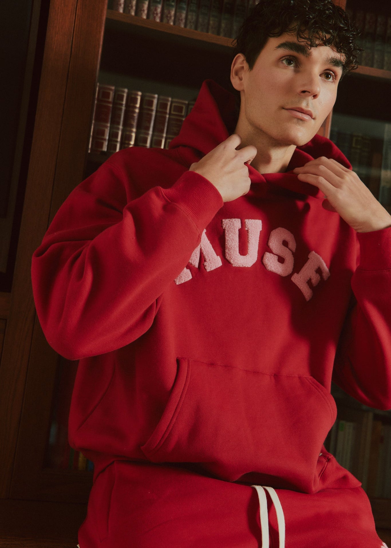 Heavyweight Chenille Hoodie - Cherry – CURATED BY MUSE